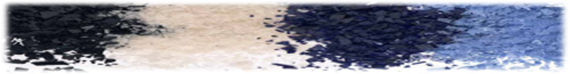 b19d9e5707dd7e4a9e769b8dff7c82d4.png